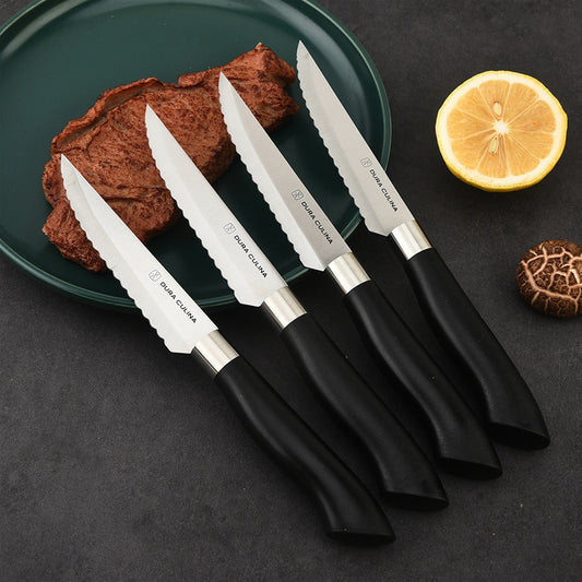 4 Piece Micro Serrated Kitchen Steak Knife Set-1